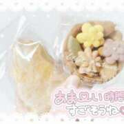 ヒメ日記 2026/06/09 10:04 投稿 あずき☆慈愛に満ちた至福な癒し ぽちゃぶらんか甲府店(カサブランカグループ)