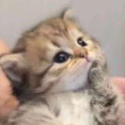 ヒメ日記 2025/08/04 17:33 投稿 れい 舐めフェチの会