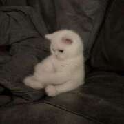 ヒメ日記 2025/08/06 19:35 投稿 れい 舐めフェチの会