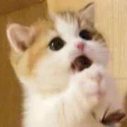 ヒメ日記 2025/08/19 17:21 投稿 れい 舐めフェチの会