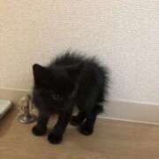 ヒメ日記 2025/08/23 18:15 投稿 れい 舐めフェチの会