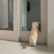 ヒメ日記 2025/08/25 18:19 投稿 れい 舐めフェチの会