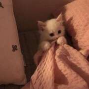 ヒメ日記 2025/08/26 20:48 投稿 れい 舐めフェチの会