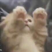 ヒメ日記 2025/09/15 19:34 投稿 れい 舐めフェチの会