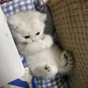 ヒメ日記 2025/09/22 12:05 投稿 れい 舐めフェチの会