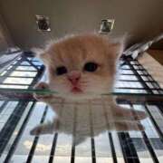 ヒメ日記 2025/10/27 17:51 投稿 れい 舐めフェチの会