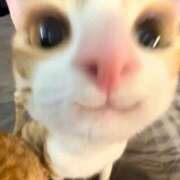 ヒメ日記 2025/11/02 23:14 投稿 れい 舐めフェチの会