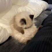 ヒメ日記 2025/11/10 20:59 投稿 れい 舐めフェチの会