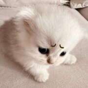 ヒメ日記 2025/11/18 11:00 投稿 れい 舐めフェチの会