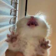 ヒメ日記 2025/12/11 12:03 投稿 れい 舐めフェチの会