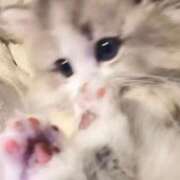 れい あと4時間♡ 舐めフェチの会