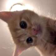 れい お久しぶりです♡ 舐めフェチの会