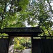 ヒメ日記 2025/12/07 09:07 投稿 桜花 三浦屋別館