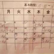 桜花 来年の予定 三浦屋別館