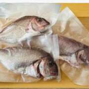 桜花 こんにちは 三浦屋別館