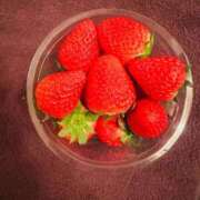 桜花 おはようございます 三浦屋別館