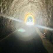 桜花 おはようございます 三浦屋別館