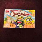 ヒメ日記 2026/02/23 09:22 投稿 桜花 三浦屋別館