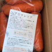 ヒメ日記 2026/03/05 17:46 投稿 桜花 三浦屋別館