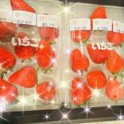 ヒメ日記 2026/03/15 20:06 投稿 桜花 三浦屋別館