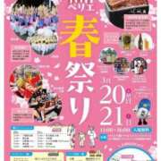 ヒメ日記 2026/03/21 14:56 投稿 桜花 三浦屋別館