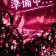 ヒメ日記 2026/04/19 08:06 投稿 桜花 三浦屋別館