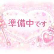桜花 おはようございます 三浦屋別館