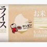 桜花 お気に入りパスタ 三浦屋別館