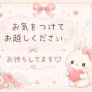 ヒメ日記 2026/05/31 06:46 投稿 桜花 三浦屋別館