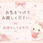 ヒメ日記 2026/06/11 08:42 投稿 桜花 三浦屋別館