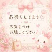 ヒメ日記 2026/06/19 08:42 投稿 桜花 三浦屋別館