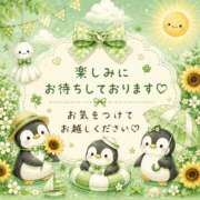 ヒメ日記 2026/07/12 09:06 投稿 桜花 三浦屋別館