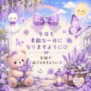 ヒメ日記 2026/07/16 08:06 投稿 桜花 三浦屋別館