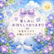 ヒメ日記 2026/07/22 08:26 投稿 桜花 三浦屋別館