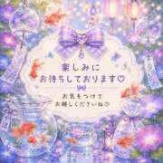 ヒメ日記 2026/08/02 08:51 投稿 桜花 三浦屋別館