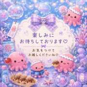 ヒメ日記 2026/08/05 08:56 投稿 桜花 三浦屋別館
