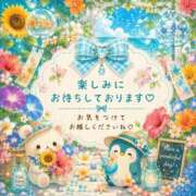 ヒメ日記 2026/08/11 09:01 投稿 桜花 三浦屋別館