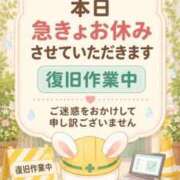 桜花 おはようございます 三浦屋別館