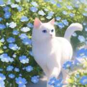 ヒメ日記 2025/04/30 21:35 投稿 ゆめか♡ニューハーフ ファッションヘルス カリスマ