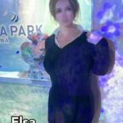 ヒメ日記 2025/05/24 20:51 投稿 エルサ チューリップ熊本店