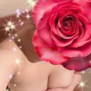 ヒメ日記 2025/05/22 10:44 投稿 宝田　りっか Oasis(薬研堀)