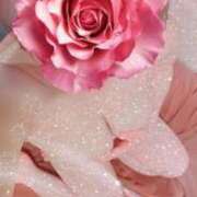 ヒメ日記 2025/05/29 15:04 投稿 宝田　りっか Oasis(薬研堀)