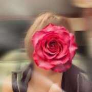 ヒメ日記 2025/06/06 09:14 投稿 宝田　りっか Oasis(薬研堀)