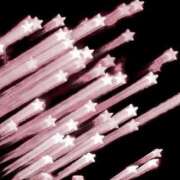 ヒメ日記 2025/05/06 16:44 投稿 かよ ふわふわコレクション