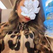 ヒメ日記 2025/05/02 06:01 投稿 てりあ♡黄金比★美Body ラブチャンス(福岡)