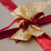 ヒメ日記 2024/12/15 11:36 投稿 初音舞 五十路マダムエクスプレス神戸店(カサブランカグループ)