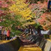 ヒメ日記 2025/11/01 11:09 投稿 あゆみ sweet kiss