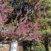 るる☆可愛いロリ声Ｅｃｕｐ美乳 出勤💕 PREMIUM萌え可愛いチョコレート～全てのステージで感動の体験を～