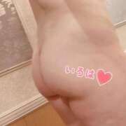 ヒメ日記 2025/10/12 14:53 投稿 小野田 BBW五反田店