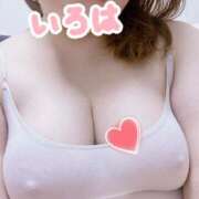 ヒメ日記 2025/11/24 14:33 投稿 小野田 BBW五反田店